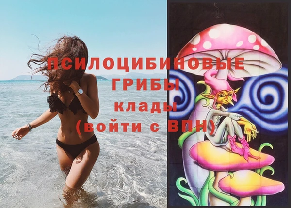 дживик Майский